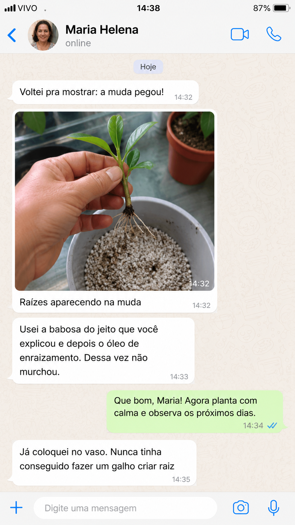 Depoimento sobre uma muda que pegou