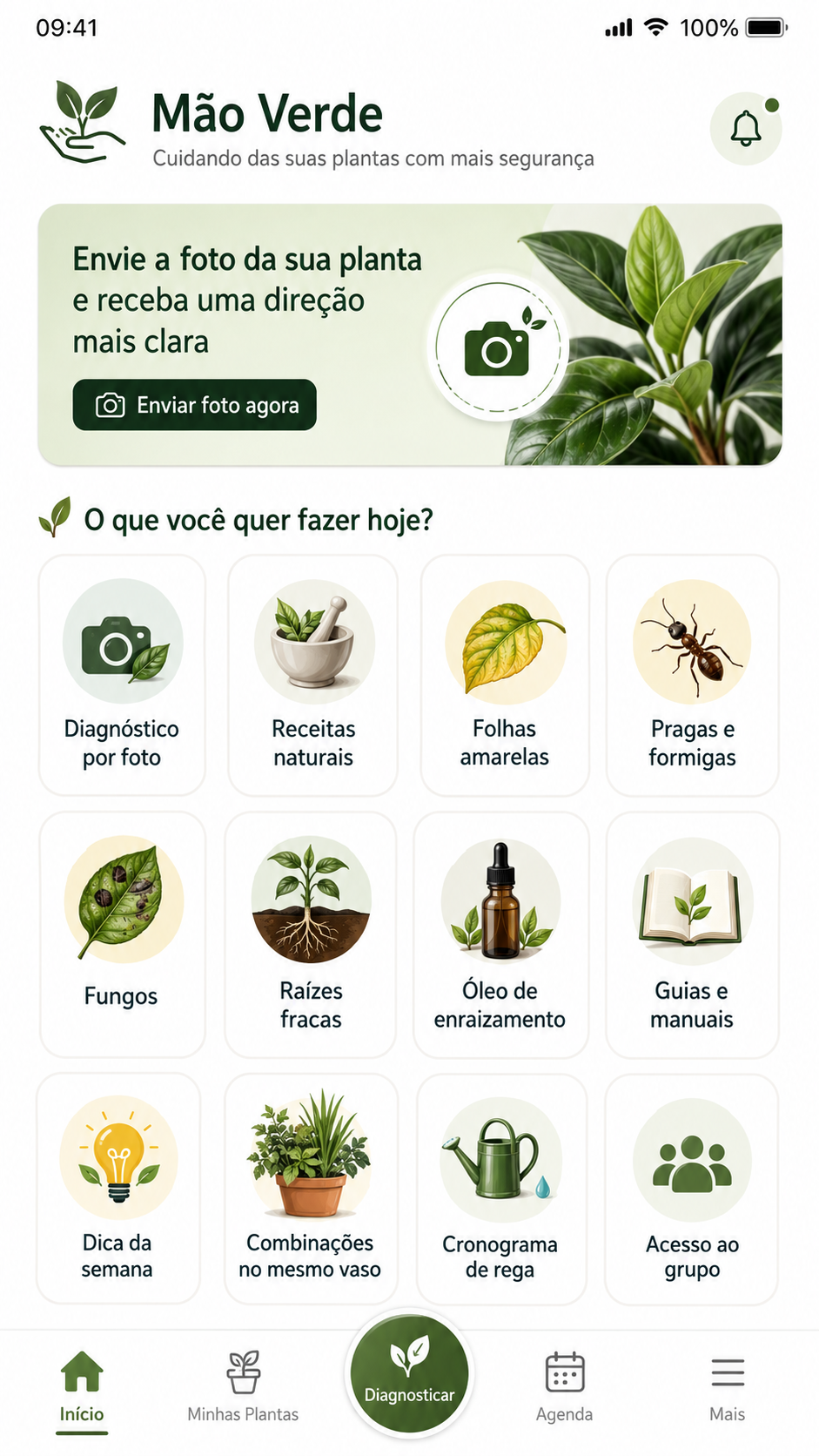 Telas do App Mão Verde com diagnóstico por foto, receitas naturais, cronograma e biblioteca